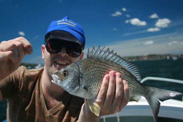 Fishos and boaties wanted for survey